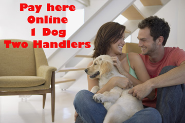pay online one dog two handlers
